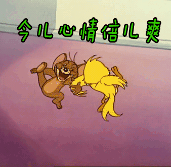 鼠猫间谍：动物世界的特工大揭秘