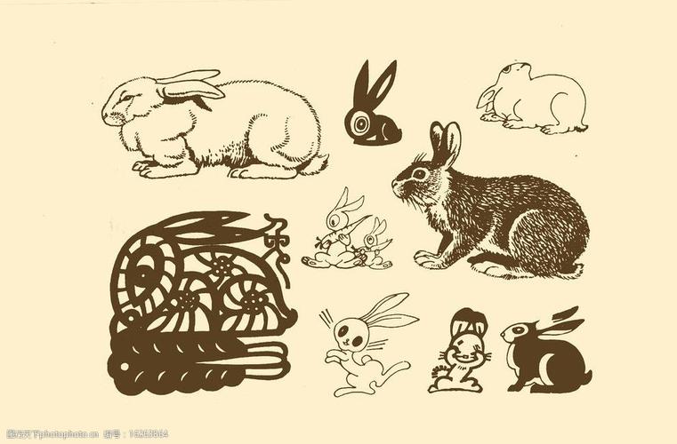卡通小白兔简笔画_画卡通小白兔的画法_笔画卡通简白兔小兔怎么画