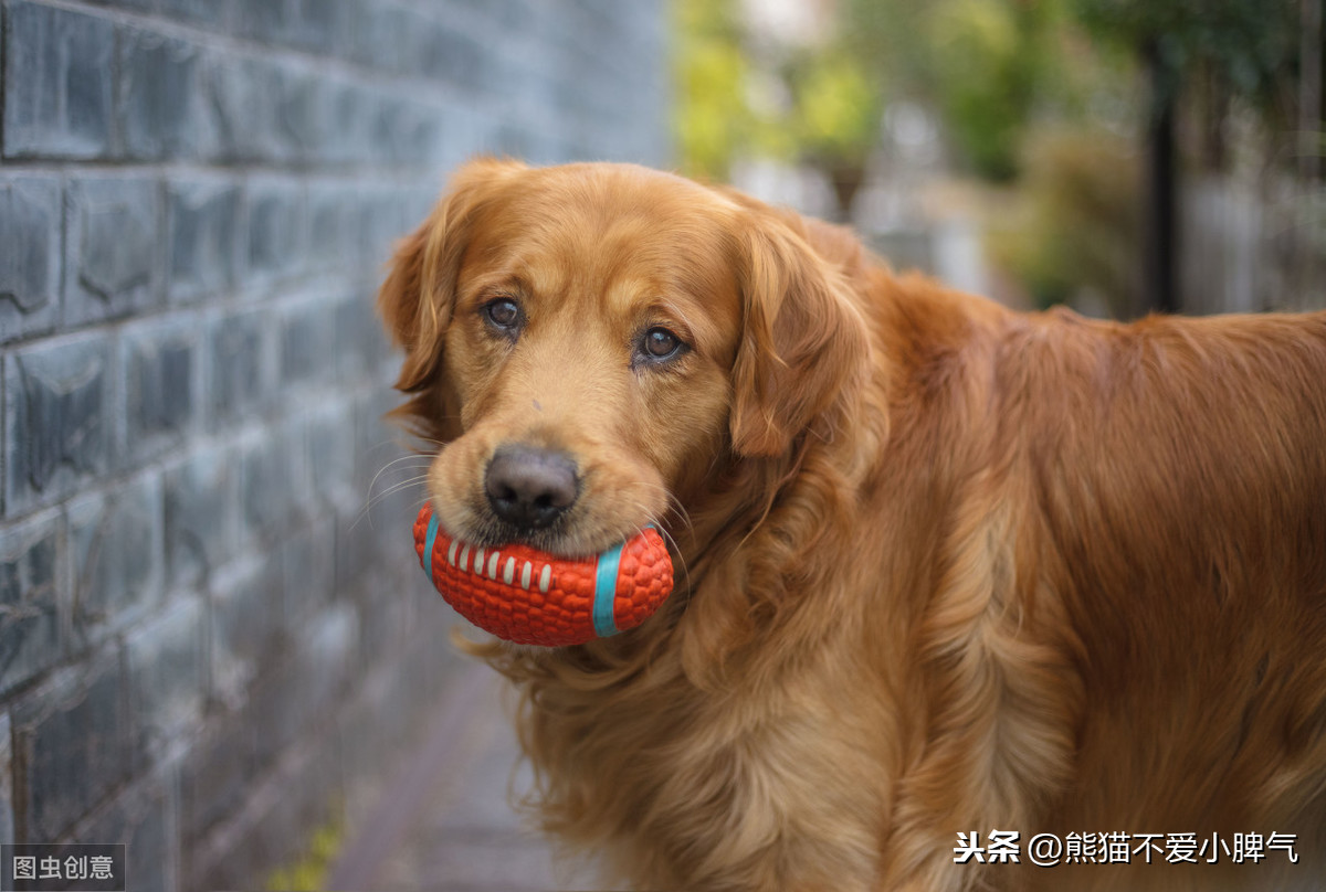 小学英语趣味智力题，轻松答对