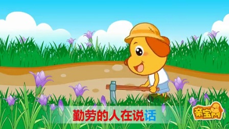 马兰花开二十一阅读答案-马兰花：邂逅奇迹，与花共舞