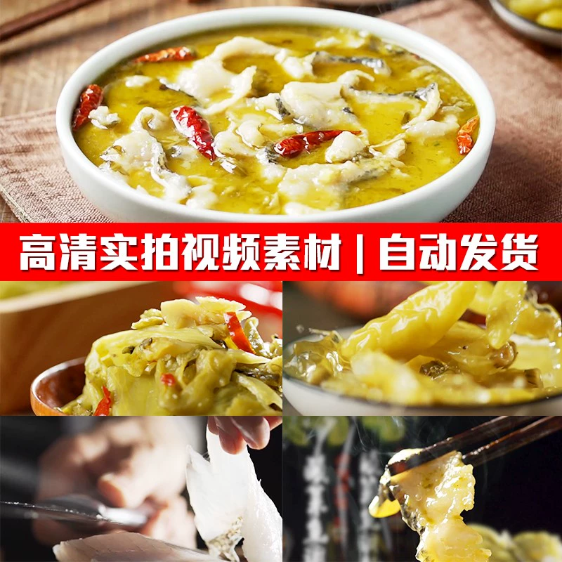 搜索抓鱼视频_抓章鱼视频大全视频播放_抓章鱼的视频