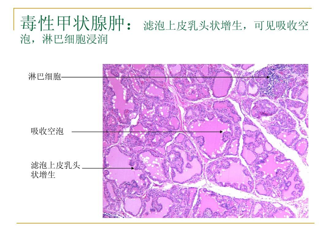 静静的辽河 在线阅读-辽河在线阅读：开启数字阅读新时代