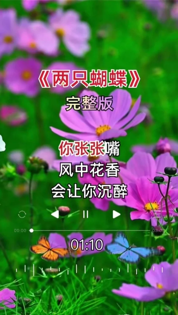 唱女生歌字名是啥意思_歌曲里的女生名字_歌名是八个字女生唱的