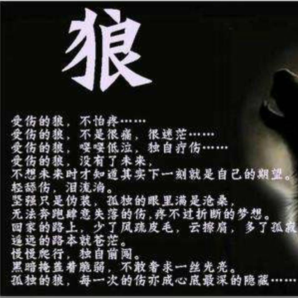 狼少女与黑王子十三集_狼少女黑王子真人版电影_狼少女黑王子同类型的动漫