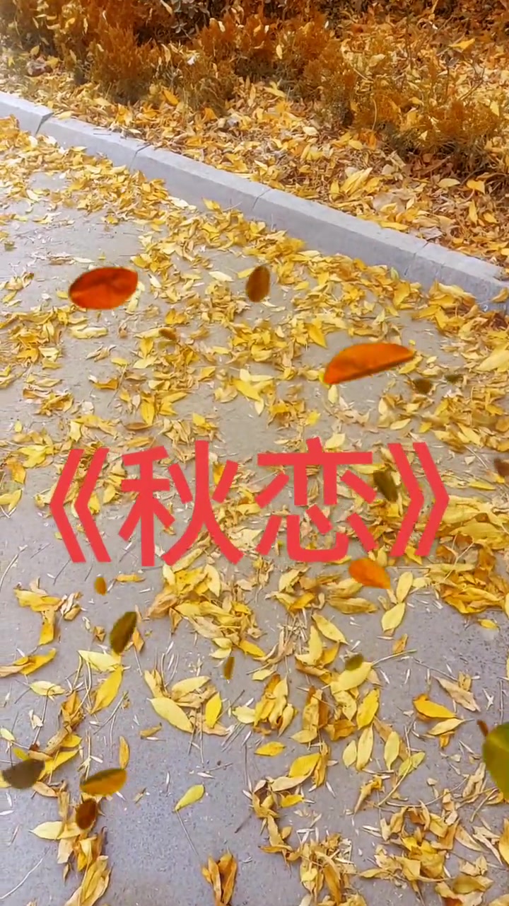 梵洛星辰_梵落小说_寂梵,洛星儿