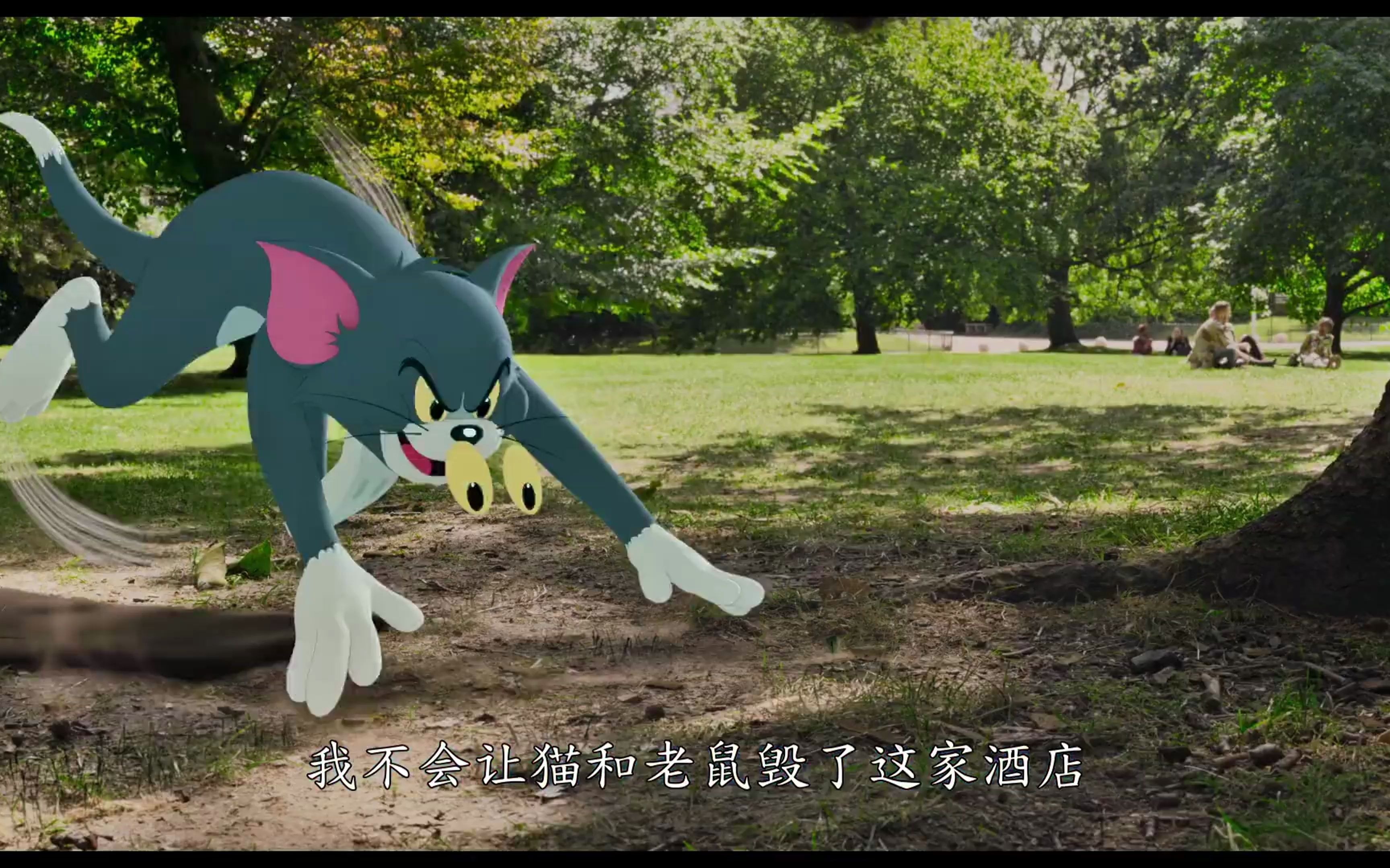 胖胖猫过山洞_胖胖山猫大闯关_胖猫山洞历险记