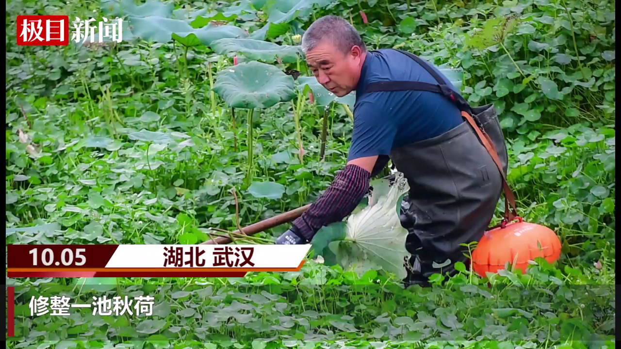 g402蝰蛇2013_g402_g402与g502