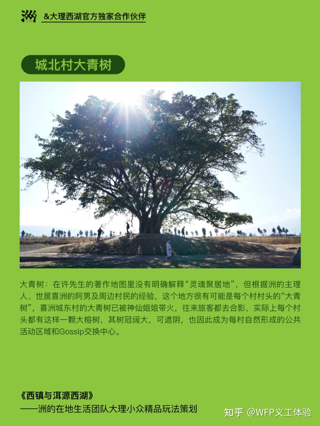 文明51.03279没有中文_steam文明_steam文明5怎么改中文