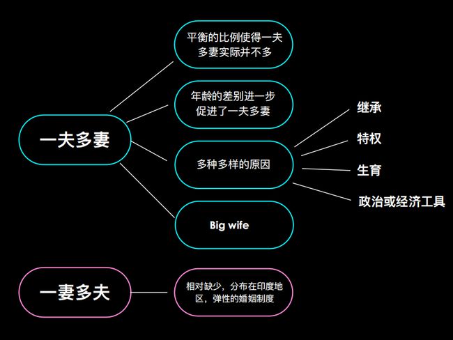 婚姻的起源bt-婚姻制度：从传承到情感，一场社会演变大揭秘
