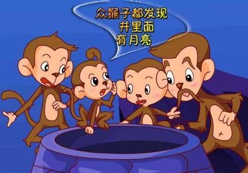 热带小岛惊现自由篮球猴子！年轻猴飞跃扣篮引全场欢呼