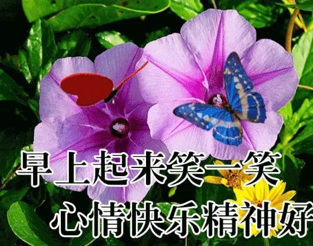 仿写【贺年片_怎么做贺年片_贺年片是什么意思