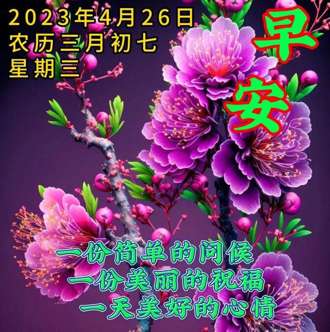 贺年片是什么意思_仿写【贺年片_怎么做贺年片