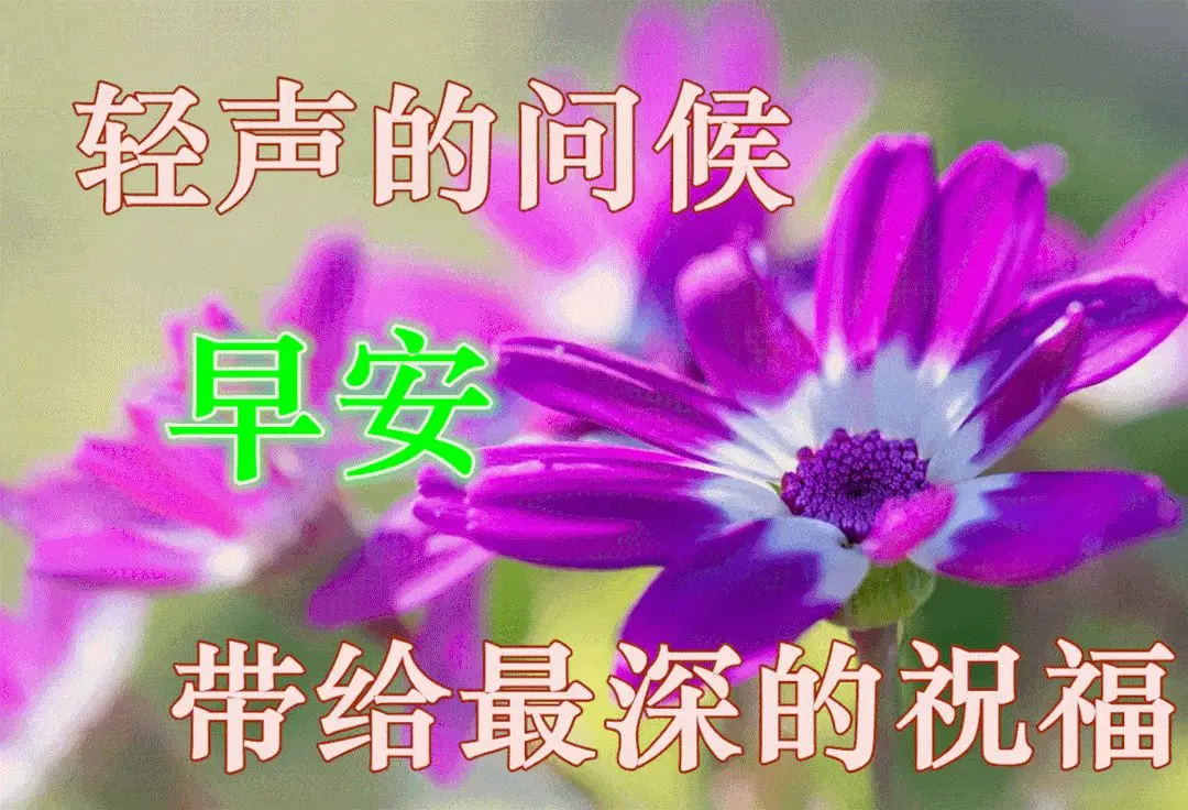贺年片是什么意思_仿写【贺年片_怎么做贺年片