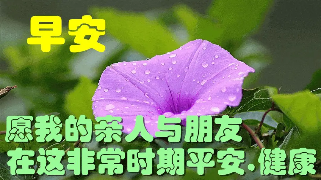 怎么做贺年片_贺年片是什么意思_仿写【贺年片