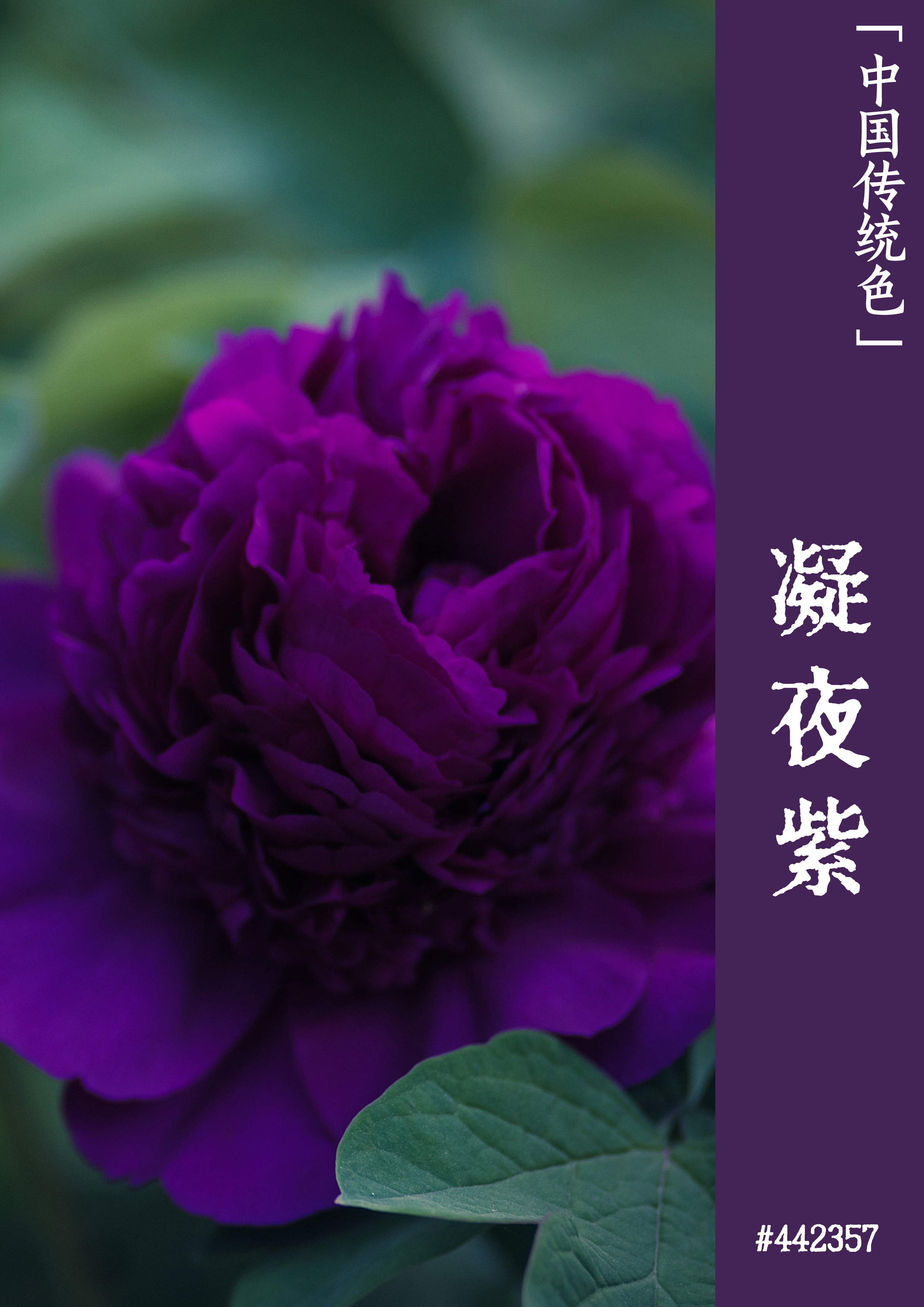 第一视角开车真实的_视角开车真实图片_视角开车真实视频