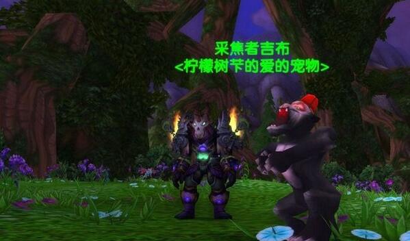 魔兽猎人能抓哪些宝宝-魔兽猎人秘籍：捕捉宝宝大揭秘