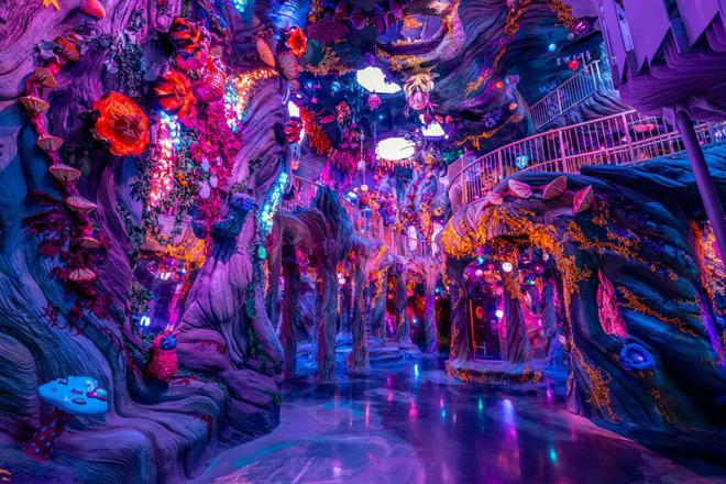 开罗皇家艺术画廊_皇家画廊展柜_开罗新游戏皇家画廊学院