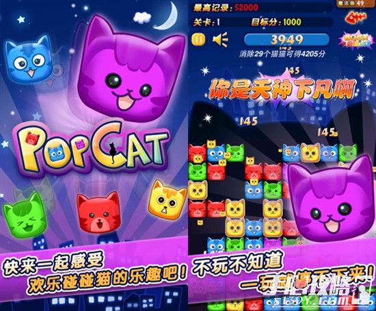 发现碰碰猫商城的秘密福利