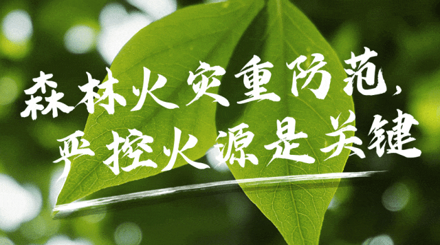 夏侯仪认识封寒月母亲-退休教师传授律师乐观秘诀，年轻律师蜕变逆袭