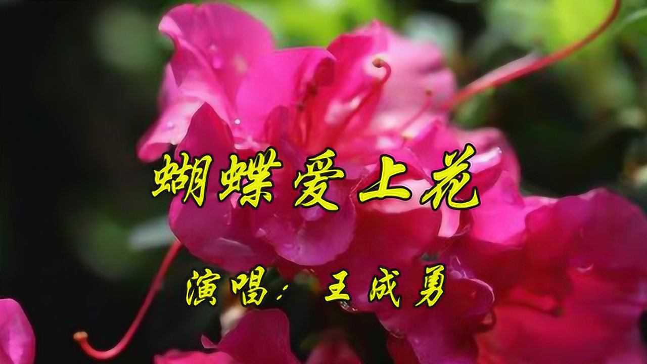 节奏大师添加歌曲怎么添加_节奏大师如何添加歌曲_节奏大师能不能导入歌曲