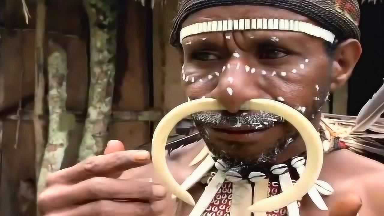 杜隆坦狼帽子_杜隆坦狼帽子_杜隆坦狼帽子