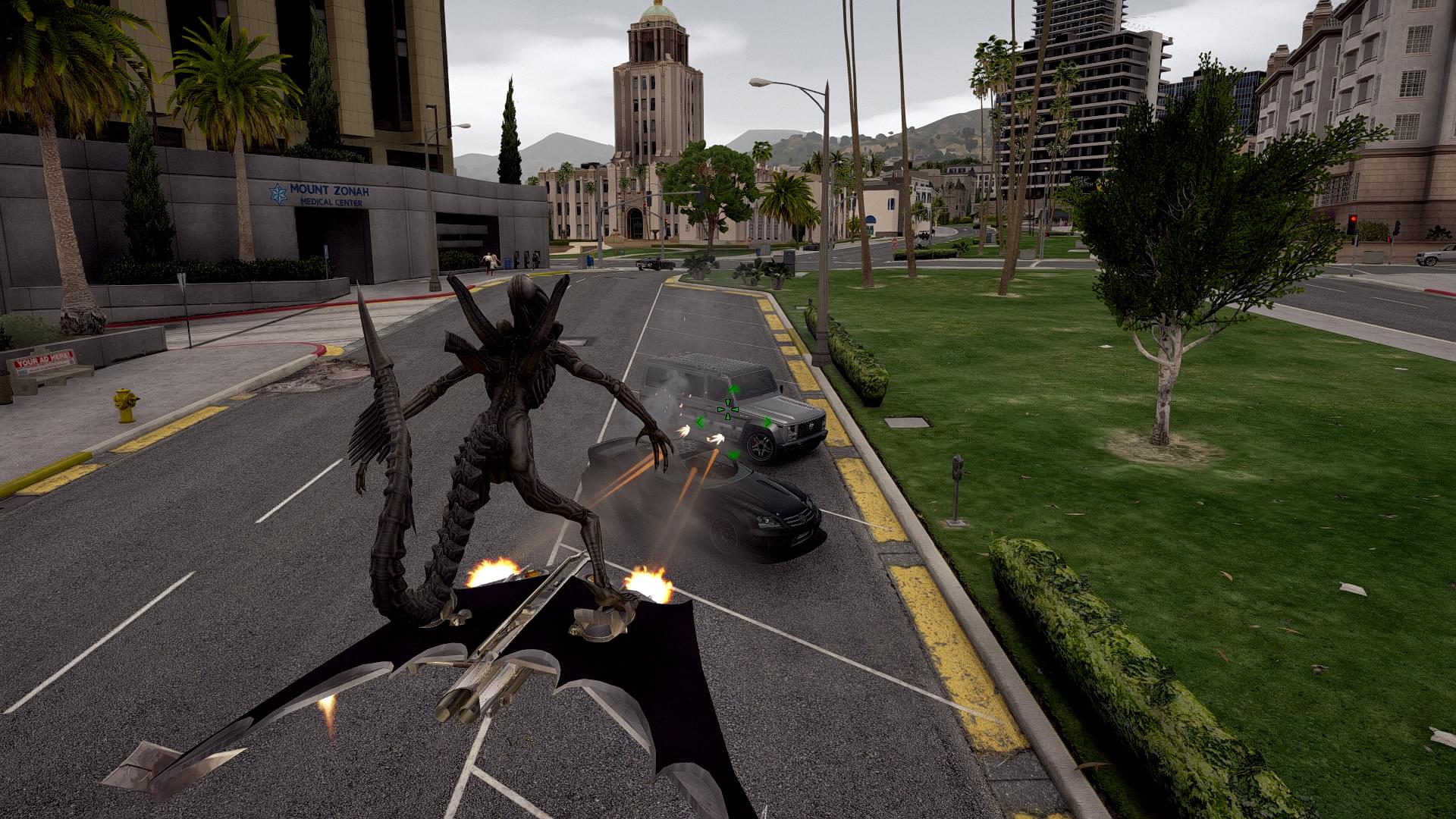 gta5一共多大_多大的行李箱可以登机_多大可以做人流手术