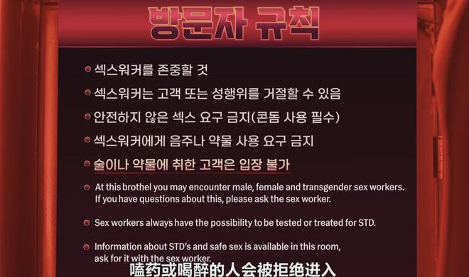 图片转换马赛克-探索数字化时代的魅力：马赛克图片处理技术的艺术与隐私保护