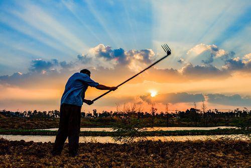 csol圣帝-探索CSOL圣帝：成为战士、法师还是刺客？在这个神秘世界中挑战无尽