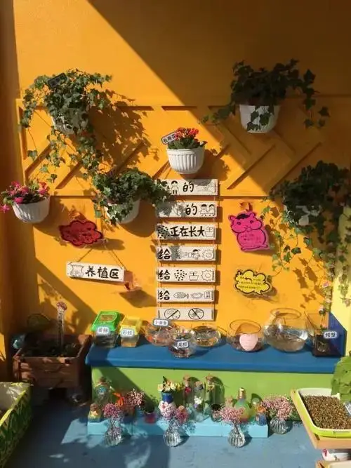 植物写生教案_《植物写生》教案_教案写生植物图片
