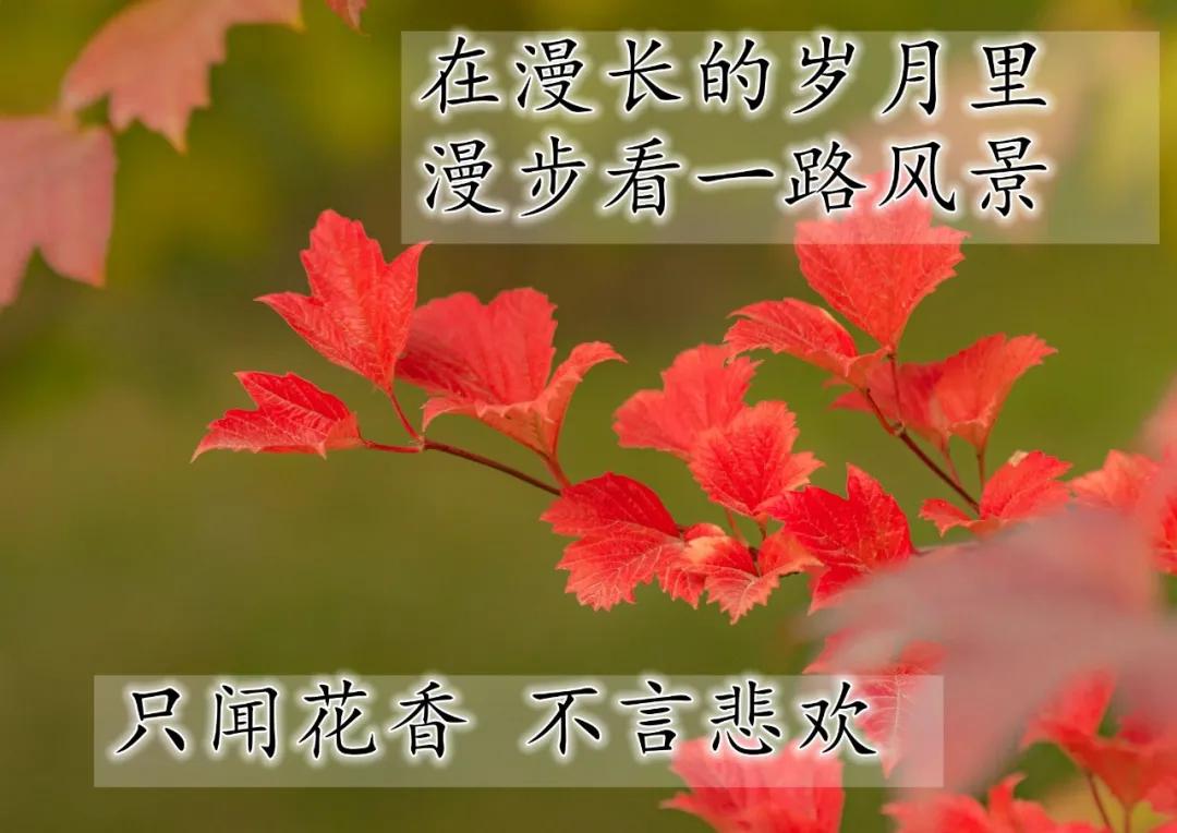 阿sue找男友_男友找算命看婚姻_男友找我借钱突然很反感
