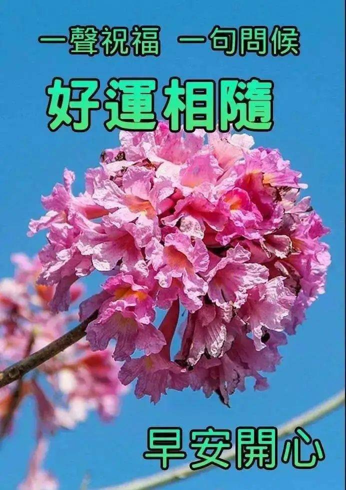 玥舍酒店怎么样_玥康堂中医馆怎么样_康玥休闲会所88号照片
