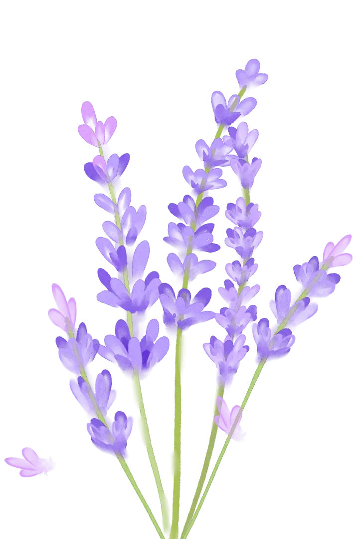 赏花作文600字_赏花作文700字_赏花作文500字左右