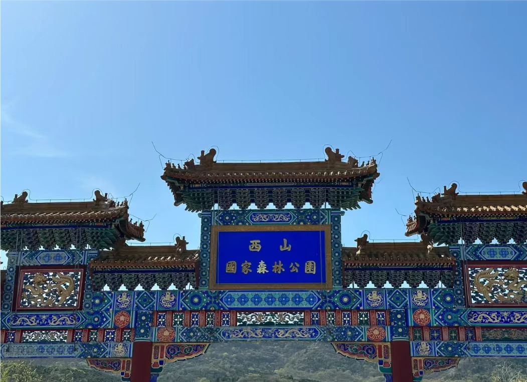 飞飞升级攻略_新飞飞怎么升级装备_飞飞105装备属性
