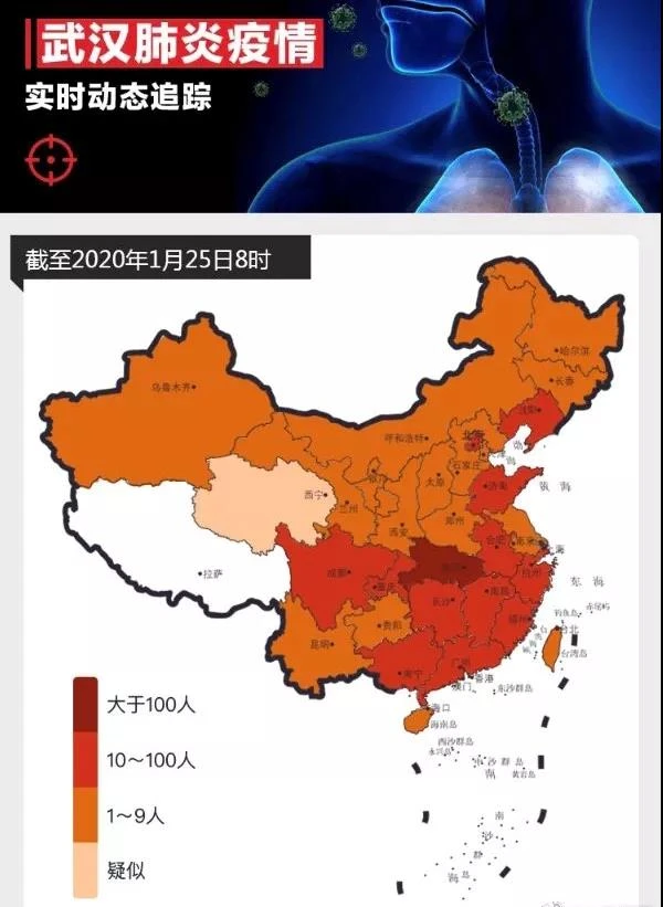 精英部队一_精英部队讲的是什么_精英部队是真实