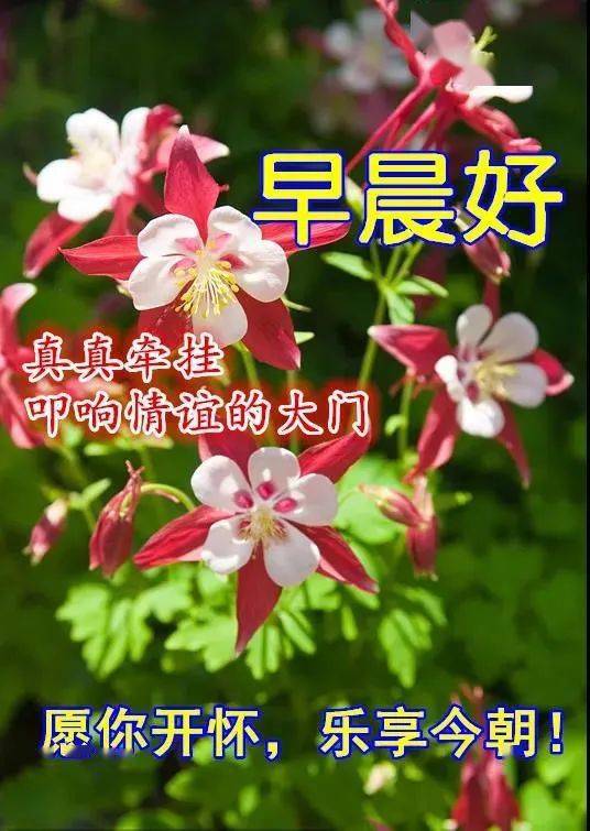 雨靴踩泥-雨靴：泥泞中的坚韧与勇气，防水装备背后的情感寄托