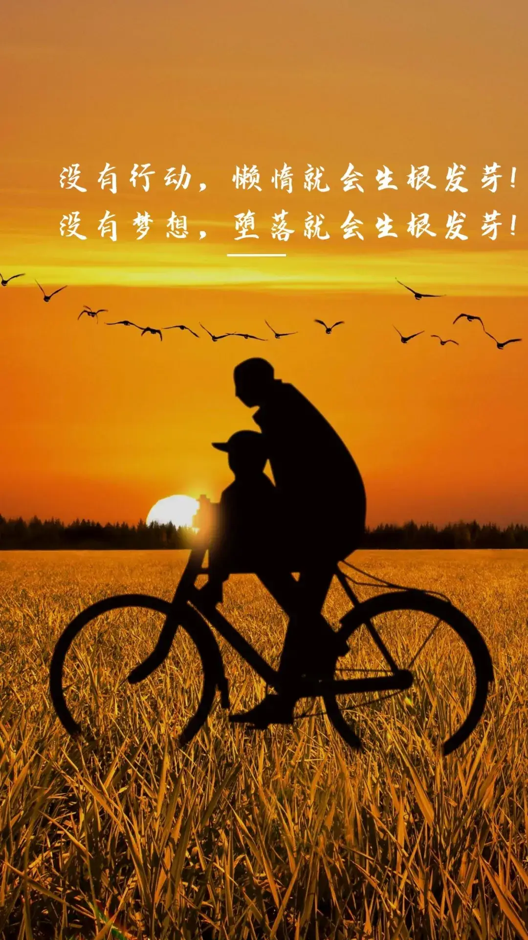 赖子涵图片：传递情感，讲述故事，带来美好与感悟