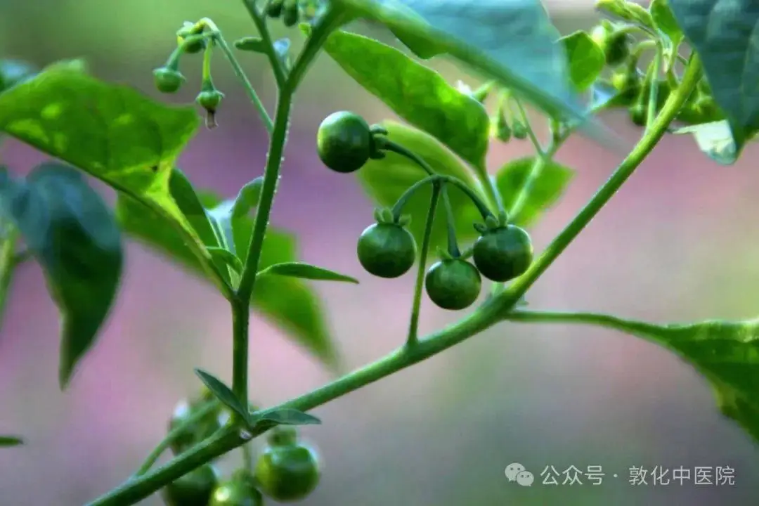 喉咙痛什么原因引起的_喉咙痛-_喉咙痛怎么办咽口水都痛