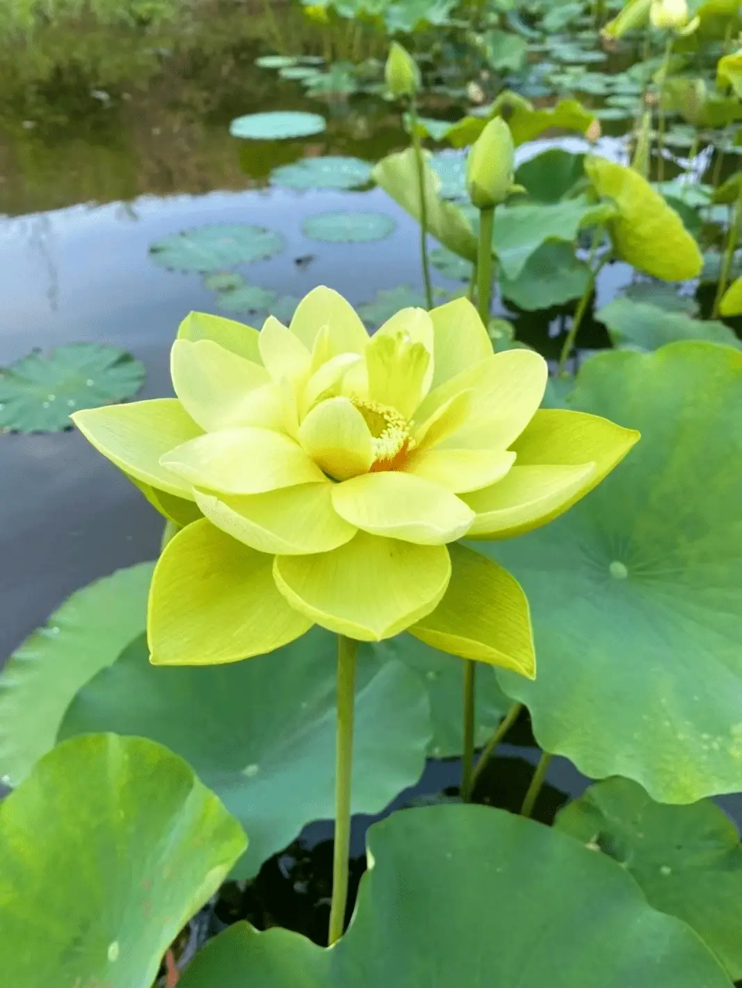 缘分测试一下_缘分测试表_测缘分指数