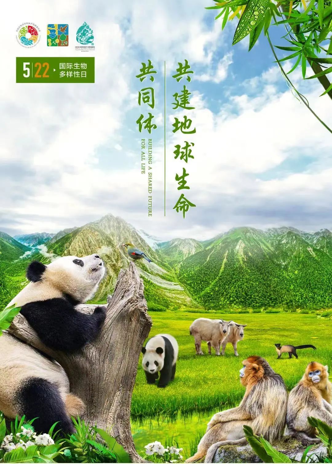 缘分测试一下_缘分测试表_测缘分指数