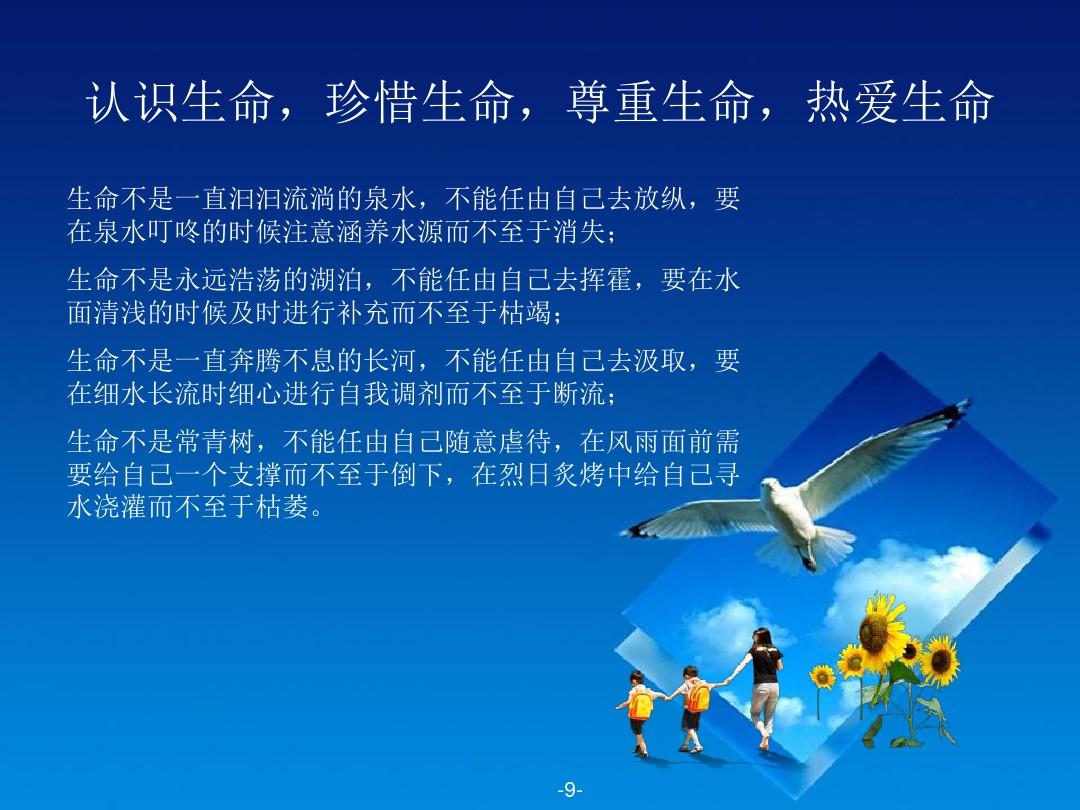 trial of sand-沙之试炼：在沙漠中寻求自我突破，感悟生命的顽强与希望