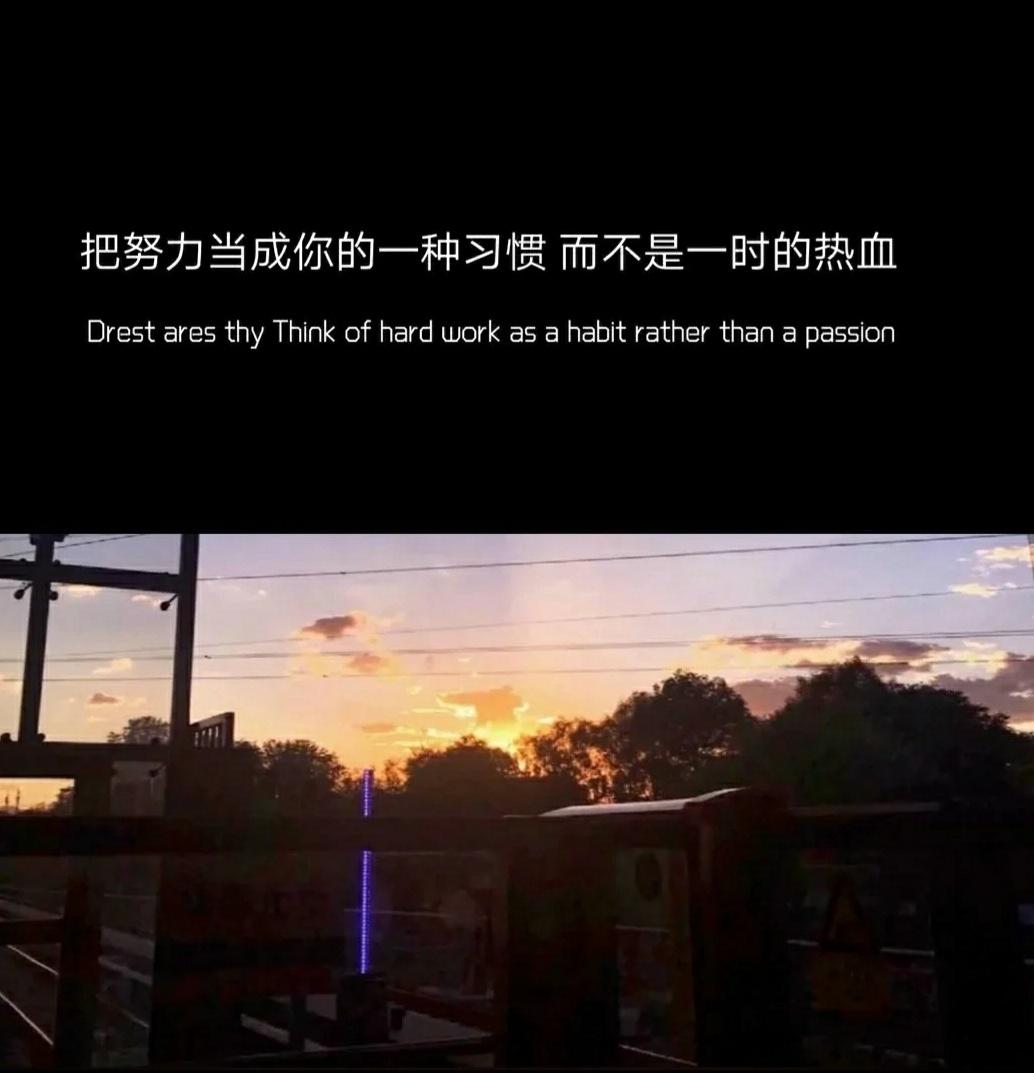 八闽游有没有手机版-八闽游手机版：数字化时代的便捷旅游小工具，带来惊喜旅行体验