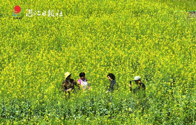 新郑和庄镇杜楼村_杜庄乡赵楼村_新郑市楼李村