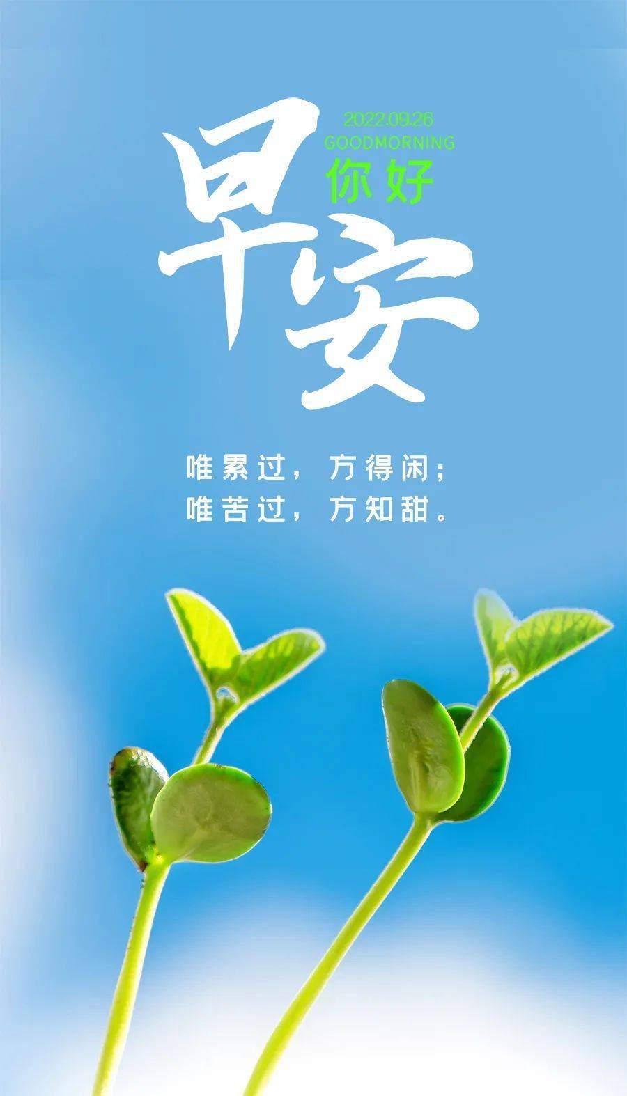 以路字开头的歌词，为何总能触动我们内心最柔软的部分？