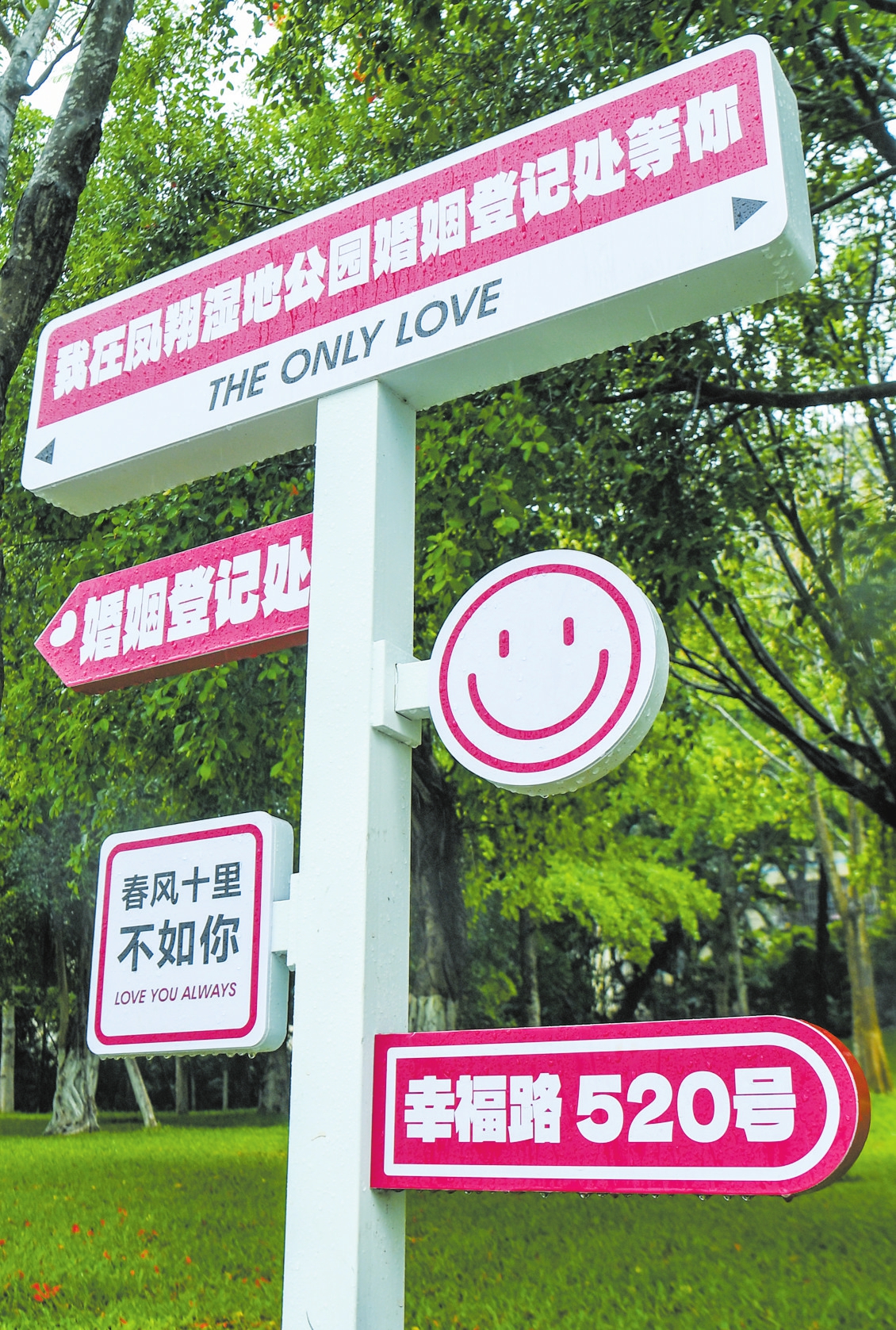 婚礼主题名字背后的故事：永恒的誓言与爱的航程