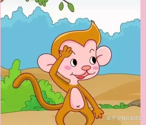 猴子跳跳跳-阳光正好，动物园猴山旁的猴子跳跃带给我的思考与感动