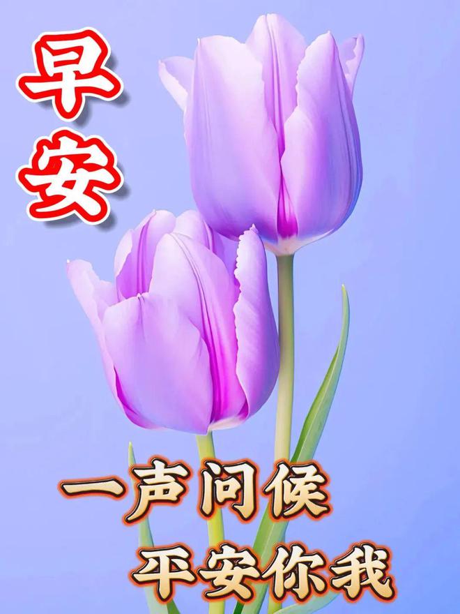猴子看小孩吃香蕉_有猴子吃香蕉_猴子吃香蕉图画