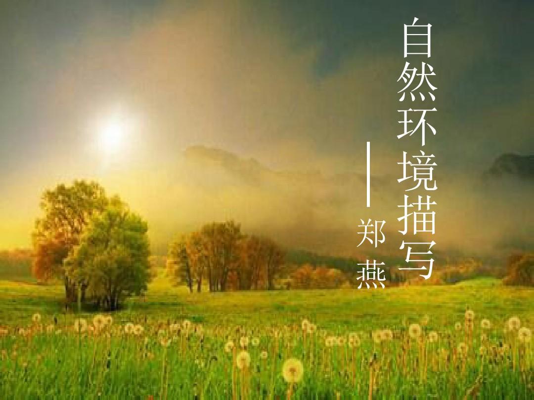百搭的环境描写开头-远离城市喧嚣的森林，这里是我的百搭环境描写之旅