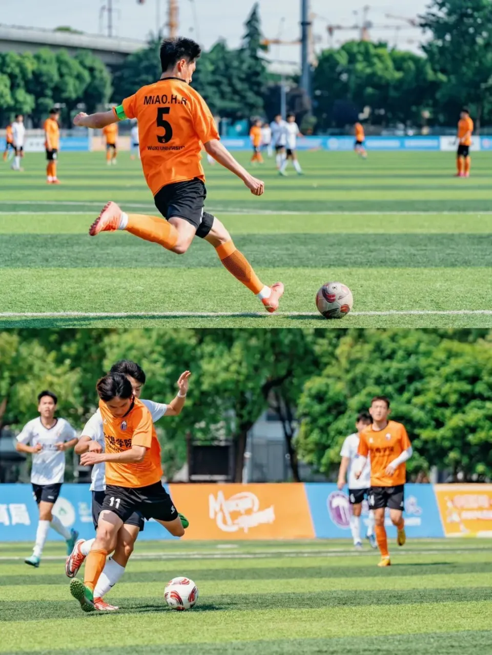 2024伦敦奥运会跳水冠军_伦敦奥运会跳水队成绩_伦敦奥运会跳水颁奖仪式