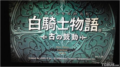 白骑士物语 ps3-白骑士物语：PS3 上的奇幻之旅，点燃游戏迷心中之火
