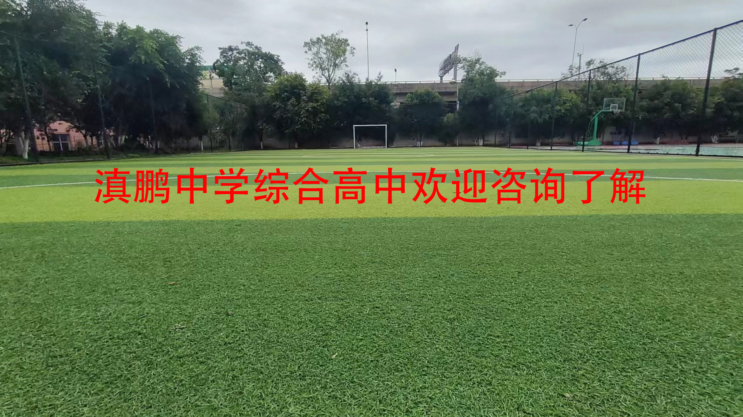 火炬之光2怎么换宠物_火炬3怎么换宠物_火炬3宠物卖东西